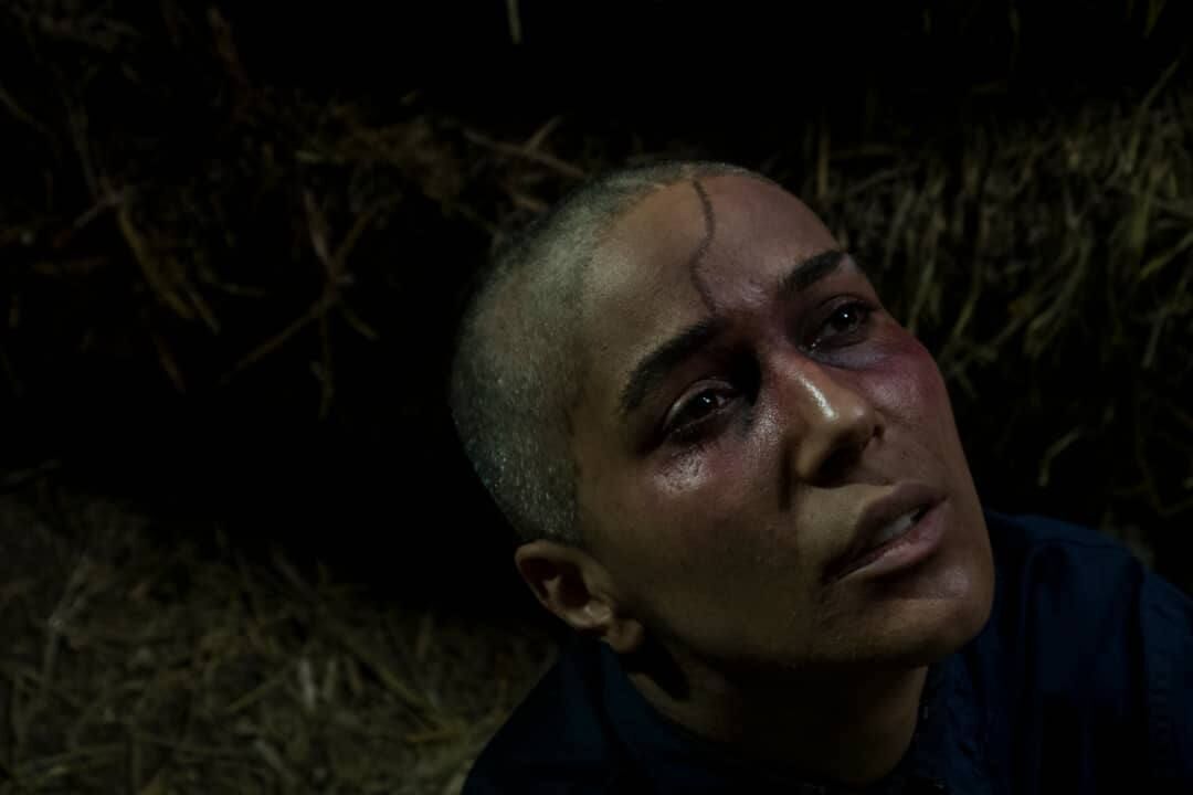 “Blue Land” Wins Two Awards in the USA and India